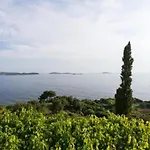 Samba * Mlini
